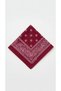 Unisex Burgundy Shawl Patterned Bandana |   Daily Hair Accessory, Neck Gaiter, and Outdoor Scarf - 6