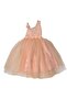 Girl's Salmon Single Sleeve Rose Glitter Evening Dress - 4
