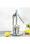 RF 8674 Citrus Juicer | Heavy-Duty Iron Base | Stainless Steel Juice Cup & Strainer | Aluminum Handle Manual Lever Juicer for Smooth & Fresh Extraction - 2