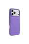 iPhone 17 Pro MORANDI Series MLDcx Magnetic Silicone Back Case - 3