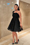 Stoned Tulle Fabric Mini Dress with Drawstring Detail - Black - 2