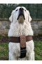 Dog Chest Harness Large Breed Adjustable 4.5 cm Width Palaska Column Cord Black & Brown - 3