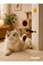 Door-Hanging Cat Toy Elastic Interactive Cat Play Toy with Sound and Bird Bell - 8