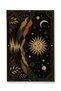 Sdt Fish Theme Patterned Modern Woven Base Decorative Carpet Mosso3449