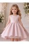 Pink Jacquard Fabric Girl's Special Occasion Evening Dress