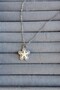 Pearlescent Zircon Stone Starfish Model 316 L Steel Necklace - 3
