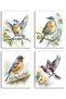 Alayra Watercolor Bird Wall Art, Abstract Plants Flowers Birds Nature Canvas Prints for Bedroom