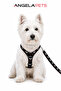 Adjustable Scarf, Chest Harness and Travel Strap Set of 3 - 4
