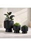 Max Stoneware Striped Pedestal Planter 13.5x13.5x13.7cm - Black - 3
