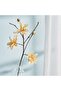 Orchid Artificial Stem Flower H101cm - Cream