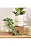 Islen Cement Planter 14x14x14cm -brown - 3