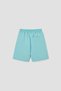 Boy's Mint Shorts - 8