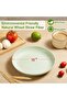 SKY-TOUCH Unbreakable Dinner Plates Set of 4 - 2