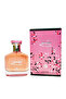 NAQSH Eau de Parfum for Women – Amber Floral Perfume with Vanilla & Jasmine, 100ml