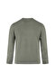 Green Regular Fit Crew Neck Sweatshirt - 3