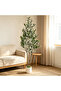 Lifelike 152cm Double Stem Faux Olive Tree Dense Lush Foliage Adjustable Branches Moss Planter Maintenance Free Decorative Potted Tree For Office Bedroom Entryway Corner - 2