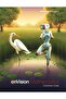 enVision Mathematics CC Grade 5 Vol. 2 (2020) - 2