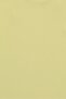 Women Regular Fit Plain Wide Leg Pants, Lime Green - 5