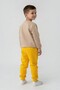 Button Detailed, Cotton Yellow Boys' Suit - 4