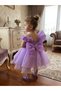 3D Floral Appliqué Detailed Bowknot Baby Girl Special Occasion Evening Dress - 2