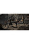 Resonance: A Plague Tale Legacy PEGI PS5 - 5