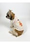 Teddy Bear Printed Dog T-Shirt with Pearl and Bow Detail Dog Sweater - 3