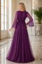 Women's Long Tulle Sleeves Double Breasted Collar Lycra Glitter Comfortable Cut Stylish Chiffon Plum Long Evening Dress - 3