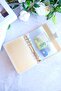 Silver Mirrored Savings Agenda - Budget Planner Wallet - Silver Mechanism - 2