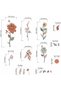 Boho Flower Wall Stickers for Bedroom: Peel and Stick Wildflower Floral Butterflies Wall Decals - Sofa TV Background Home Art Wall Decor - 4