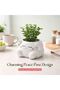 Marketplace Beram Clouds Design Flower Pot Victory Polyresin Cute Smiling Cloud Peace Pose Succulent Planter Decorative Mini Vase Indoor Outdoor Home Office Desk Decor Pen Pencil Holder Propagator Kit - 4