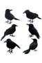(eb98)6 Pack Black Feather Crow Decorations Realistic Decorative Birds Fake Crow Props Suitable for Indoor Outdoor Home Yard Garden Party Carnival Halloween - 6