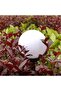 Solar-powered LED garden light, spherical white globe, 10cm, set of 6. - 5
