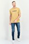 Men Slim Fit Solid Chino Pants, Tan - 4