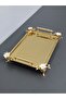 Figured, Metal-Handled, Stainless Steel Rectangular Tray Luxury Presentation Tray North Gold