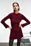 Encanto Women's Round Neck Stripe Pattern Slim Fit Burgundy Dress