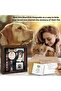 Memorial shadow box 21.8cm with paw print collar stand. - 4