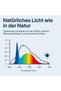 NovoLux LED 60 Neo - 5
