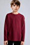 Long Sleeve Boys' Sweatshirt E9661A8/Br194