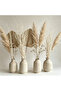 FFD Dried White Curly Willow Branches, Natural Decorative Twigs for Home & Event Styling - 4