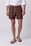 Ds Damat Regular Fit Brown Shorts Swimwear
