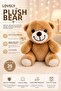 Cute Plush Teddy Bear 25 cm Soft Textured Decorative Teddy Bear for Kids and Gifts Plush Toy