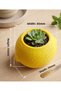 Multi-Purpose Decorative Organizer with Lemon Design |   Succulent Cactus Pot, Pen Holder, Makeup Brush Holder - 3
