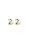 Silver Gold Mix Earrings