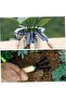 10-Piece Garden Tool Set, Plant Care Kit Bonsai Planting Tools, Ergonomic Handles - 4