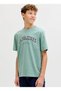 Blue Boy's Printed T-Shirt 12258924