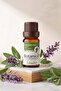 100% Pure Sage Essential Oil (Bitter Apple) 10 ml - Anti-Acne and Anti-Dandruff Care