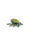 FIGURINA CARABUS - 5
