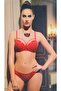 Underwire Lace Bra Panty Set 2014 - 2