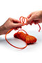 Fire Lite 550 Reflective Tinder Cord 50 ft - 4