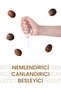 Moisturizing, Revitalizing, Nourishing Collagen Mask with Shea Butter Extract 23 Gr 5 Pieces - 3